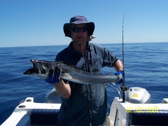 toothy critters toothy critters